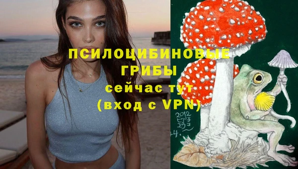 мяу мяу мука Алзамай