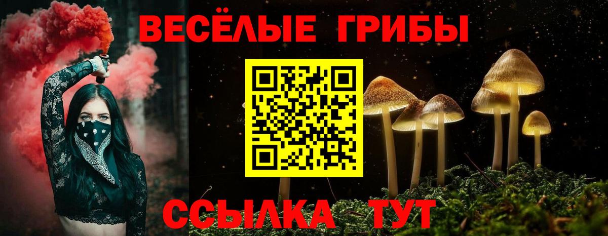 Галлюциногенные грибы Magic Shrooms Сунжа