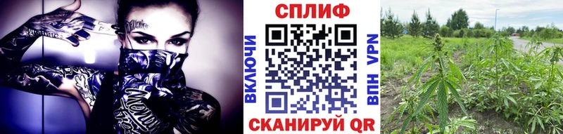 мориарти клад  Сунжа  Бошки Шишки конопля 